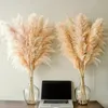 110120cm grande herbe de Pampas moelleuse fleur séchée naturelle pour la décoration de mariage à la maison décoration Bouquet arrangement cadeau 240308