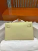 Borsa di design borse da sera della borsa di lusso da 22 cm Donne Borse Borse Borse Crocodile Matte Crocodile Grey Cream Green Green Colours