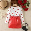 Day Valentine s Kids Girls Outfit Heart T-shirt and A-line Skirt Set Valentine s Day Clothes ldd 24314