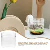 Vazen Mini Cup Terrarium Glas Vetplanten Micro Landschap DIY Flescontainers Kantoor Mos Klein