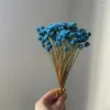 Decorative Flowers Real Dried Natural Mini Brazilian Pleasure Branch Miniature Dry Happy Flower Bouquet For Home 30CM/About 0.3CM Head