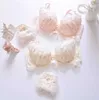 Long term chiffon bicolor embroidery thin cup student girls cute gathering sexy underwear bra set