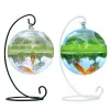 Tanks Creatieve transparante bolvormige aquarium kleine desktop glazen aquarium ronde hangende glazen aquarium aquarium woondecoratie