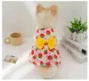 Vêtements de chien Princesse Robe Imprimer Été avec bouton Bowknot Doux Mignon Chiot Chat Jupe Mince Animaux De Mariage Fête Chihuahua Vêtements