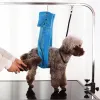 Guinzagli Articoli per animali Toelettatura cani Cintura addominale Fascia da bagno Cani da compagnia Tavolo da toelettatura Braccio da bagno Corda di ritenuta NoSit Pet Hanch Holder