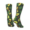 Men's Socks Vintage Olive Avocado Fruits Food Unisex Street Style Pattern Printed Crazy Crew Sock Gift
