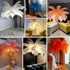 Floor Lamps Nordic Ostrich Feather Led Lamp Resin Body Standing Lights For Living Room Modern Luxury Bedroom Home Decor Lustre