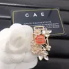 Vintage Pearl Diamond Brooch Brand Designer Boutique Letter Brooch Luxury International Brand Gifts Clothing Pins Birthday Party Charm Brooches