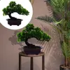 Kwiaty dekoracyjne witają ozdoby sosnowe dekoracje domowe symulacja bonsai biurowa roślina na zewnątrz plastikowe sztuczne powitanie sztuczne