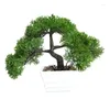Mini Pot de plantes artificielles, fleurs décoratives, bonsaï, petit arbre, aménagement de jardin, salon, décoration de Table à manger