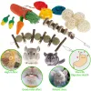 Toys 16st Small Animal Chew Toys Bundle for Rabbit Bunny Hamster Guinea Chinchillas Tandrengöring Molar Slipning Toys Pet Accessori