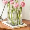 Vases Hinged Flower Vase Clear Test Tubes Flower Pot Creative Vase Floral Hydroponic Container For Home Desktop Dining Table Decor