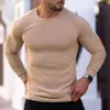 Autunno Uomo Top Sport Fitness Tempo libero Stretch Verticale Girocollo Manica lunga T-shirt Abbigliamento uomo T-shirt semplici 240305