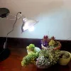 Belysningar Ultraviolet glödlampa E27 5.0 10.0 UVB 13W/26W PET REPTILE LIGHT GLOW LAMP DAGLIGHT GULB FÖR Tortoise Fish Amfibians