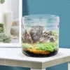 Vazen Mini Cup Terrarium Glas Vetplanten Micro Landschap DIY Flescontainers Kantoor Mos Klein