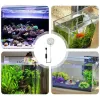 Illuminazione Acquario Luce Rotazione a 360 gradi USB Lampada per acquario Accessori per acquari Per acquario per tartarughe Acquario Soggiorno