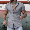 Camisas casuais masculinas homens verão camisa fina elegante ajuste fino com colarinho de turn-down mangas curtas single-breasted para formal