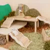 おもちゃハムスター木製のはしごの小さなペットの登山おもちゃチンチラ天然ハムスターおもちゃモルモットアクセサリーを運動する