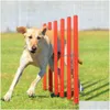 Dog Collars & Leashes Dog Collars Leashes Outdoor Obstacle Training Set Pet Agility Equipment Jum Accessories Course Supplies Drop Del Dhvkz