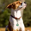 Köpek yakaları 15 PCS Özel koruyucu kapak taşınabilir sessiz daire silika jel silikon