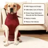 Pagliaccetti Pannolini per animali maschili Pantaloni per cuccioli di cane Tutina Abbigliamento fisiologico per cani Pancia Pantaloni sanitari Malattie della pelle Tuta di recupero Forniture per animali domestici