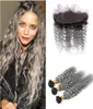 8A Malaysian Deep Wave Grey Human Hair 3 Bundles With Lace Frontal 2 Tone 1B Gray Curly Ombre Virgin Hair Weaves Dhl 2795159