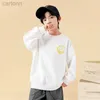 T-shirts Boys Sweater Spring and Autumn Style New Mid sized Childrens Autumn Top Boys Autumn Bottom Shirt Fashionable and Fashionable ldd240314