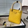 Designer tas dames luxe handtas schoudertas heren struisvogelpatroon lederen tassen dame cadeau draagtas emmer tas schoudertas geen doos met stofzak