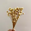 Kwiaty dekoracyjne prawdziwe suszone naturalne mini brazylijskie gałąź przyjemności miniaturowe suche happy kwiatowe bukiet do domu 30 cm/około 0,3 cm głowa