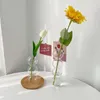 Vazen bubbelglas vaas creatieve bloemfles hydrocultuur plant pot transparante vaas voor bloemen eettafel slaapkamer decoratief