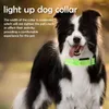 Collari per cani Collare luminoso a LED Cablaggio luminoso anti-smarrimento notturno Lampeggiante regolabile luminoso per piccole forniture per animali domestici