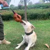 Equipment Dog Training Cow Skin Ball, Tearing Ball, Pet Toys, Venting Skin Ball, Biting Stick, Outdoor Supplies