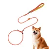 Colliers d'entraînement pour chiens, corde de Traction robuste pour animaux de compagnie, Rotation Anti-nœud à 360 degrés, outil d'extérieur, grands, petits et