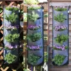 Kits 6 Pocket Vertical Garden Grey Planter Bag Wallmounted Planting Flower Grow Pots 107x 30cm Home Garden Vegetable Fruit Supplies