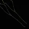 Collier en or jaune 14 carats, perles rondes simples, longue frange, chaîne de clavicule, longue chaîne géométrique, bijoux personnalisés pour femmes, ras du cou