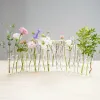 Vases Hinged Flower Vase Clear Test Tubes Flower Pot Creative Vase Floral Hydroponic Container For Home Desktop Dining Table Decor