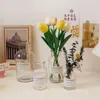 Vasen Ins Glas Vase Europäische transparente braune Flasche Pflanze Terrarium Behälter getrocknete Blume Hydroponische Vase Home Tabletop Dekor