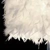 Table Lamps Feather Lamp With US/EU/UK Plug 3000K-4000K Warm Light El Bedroom Atmosphere Night Festival Gifts Home Decoration