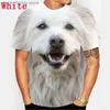Männer T-Shirts Komfort Rundhals T-shirt Top Neue Herren 3D Druck Niedlichen Tier Hund T-shirt 2024 Neue Mode Herren beiläufige Kurze Slve Y240321