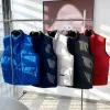 2024新しいデザイナーダウンジャケット冬のベストウォームコートカジュアルレター刺繍屋外冬のカップルパーカー