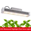 Greenhouse Full Spectrum Cob Grow Lights 320 640W 301B LED Light AC100277V Indoor Toplight Hydroponics Vegetable Flower Plant Gro4949239