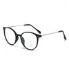Sunglasses 2024 Sell Hip Hop Anti-blue Light Flat Lens Ultra Blush Cold Brown Glasses Plain Face Magic INS Wind Adult