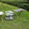 Mobilier de Camp homme Portable petite Table en acier T370 rangement extérieur thé pique-nique Barbecue Camping cuisine pliante