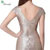 Festklänningar Fashion Sequin Rose Gold Long Evening Dress Sexig dragkedja Bakklänningar Backless golvlängd Graduation Prom