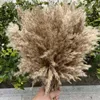 Decorative Flowers Boho Home Decor Bouquet Natural Dried Plants Pampas Grass Wedding Floral Arrangements Living Room Table Decoration