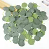 Decorative Flowers 100pcs Silk Eucalyptus Leaves Artificial Wreath DIY Gift Box Fake Plants Decoration Wedding Festival Party Home Supplies