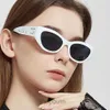 Pal Sunglasses for Women Men Designer Summer Shades Polarized Eyeglasses Big Frame Black Vintage Oversized Sun Glasses of Women Male