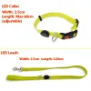 Leashes Light Up Dog Leash With Collar Set Waterproof PVC Rope USB Rechargeable Glow In The Dark Visiable Safety Night Walking
