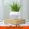 Creative maglev potted tabletop decoration rotating aerial plants Nordic simple geometric ins wind