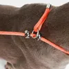 Colliers d'entraînement pour chiens, corde de Traction robuste pour animaux de compagnie, Rotation Anti-nœud à 360 degrés, outil d'extérieur, grands, petits et